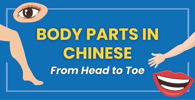 72 Body Parts🦵🏼in Chinese From Head to Toe - Guide & QUIZ