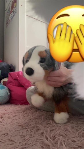 alienstarynight (@alienstarynight)’s videos with оригинальный звук - atopsongs