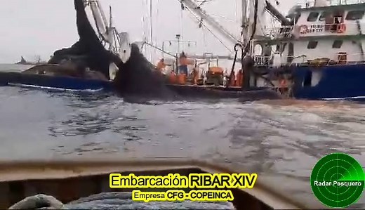 13K views · 151 reactions | Saludos para los tripulantes de la embarcación RIBAR XIV de CFG - Copeinca, quienes el día de ayer cumplieron con pescar el 100% de su cuota de pesca (10,581 TM), por ello agradecen a Dios por permitirles acabar su cuota y regresarlos sanos y salvos a sus casas.  | Radar Pesquero | Facebook
