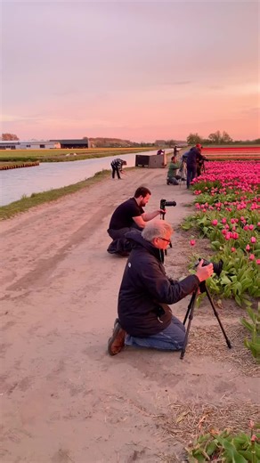 Insta_memes on TikTok