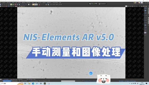 NIS-Elements AR 手动测量和图像处理