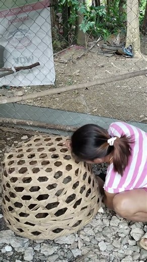 Top 10 Pig Feeding Tips Every Farmer Should Know!” #PigFeed #FarmHacks #LivestockCare