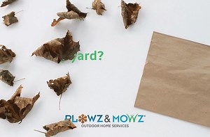 Make like a tree and leave the hard work to us. Take the weekend off and let Plowz & Mowz handle your leaf removal. Help is a click away - download the app for a free estimate: http://bit.ly/PlowzandMowz | Plowz & Mowz