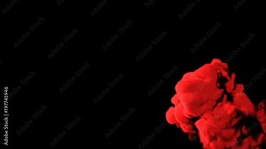 Abstract stylized Red ink drop in water on a black background for effects with Alpha channel matte. 3d render. voxel graphics. computer simulation V6