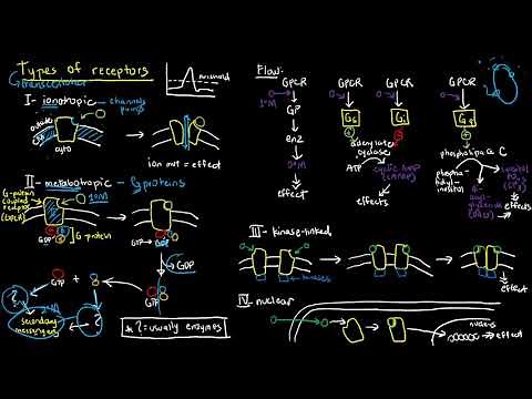 PHARMACOLOGY 6 - Types of Receptors