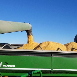 16K views · 348 reactions | Millennial Farmer on Reels | Facebook