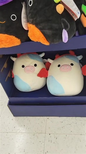 I love squish hunting with my best friend! #squishmallowhunting #squish #squishtok #squishfyp #squishmallowcollection #halloweensquishmallows #Squishmallowhaul #squishmallowsquad