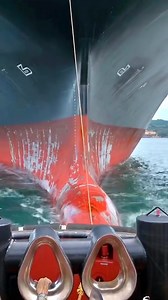 9.7K views · 114 reactions | Cận cảnh tàu Container MSC kết nối tàu...