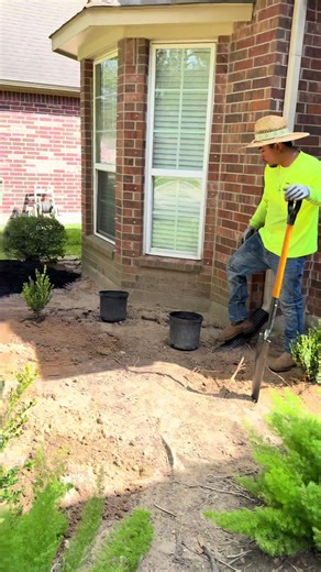 🔥🔥#foryoupage #everyone #treeservice #treetrimmimg #mulch