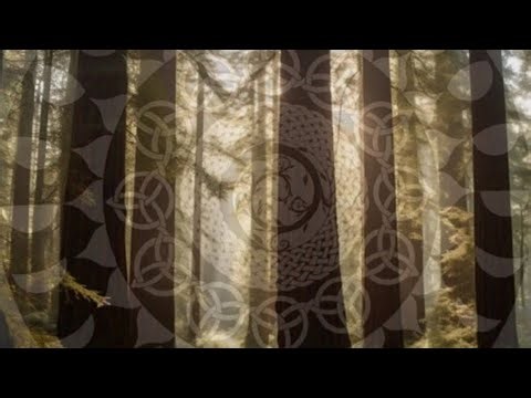 Rainwater catchment and filtration system: Stage 1 complete