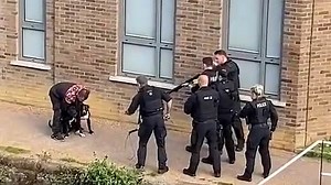 Armed officers gun down two 'out-of-control' dogs in east London