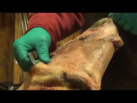 Fleshing an Otter....TraprJoe Style.