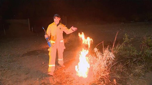 How plants on your property could save your house from a fire