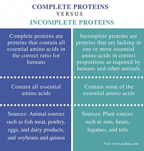 What is the difference between complete and incomplete protein? [2025] | QAQooking.wiki