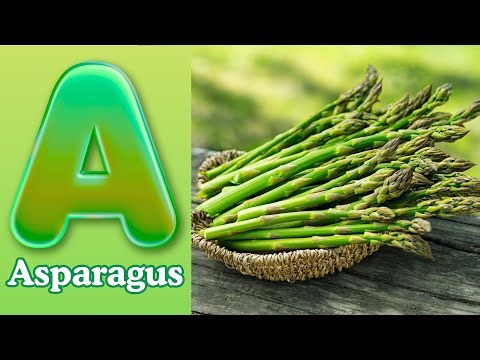 🌿 ABC Vegetables Song | Learn Veggies A to Z for Kids! 🥕🥦 | MiniMarvels TV