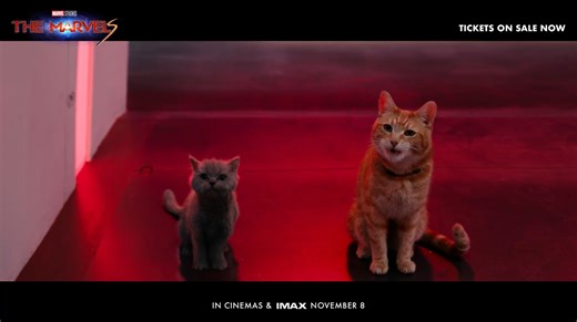 552K views · 3.7K reactions | A new team is assembling. 隸 Gather your barkada to catch this Avenger’s return in Marvel Studios’ #TheMarvelsPH! Fly into cinemas and immersive IMAX on November 8. Book tickets for the group chat now: https://marvel-asia.com/EQMs6Y. | Marvel | Facebook