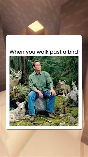 Linux Vs Windows 😂