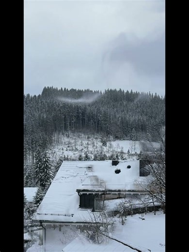 7 Tage pure Schwarzwald-Entspannung
