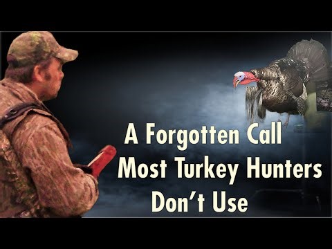 A Forgtten Call Most Turkey Hunters Don't Use
