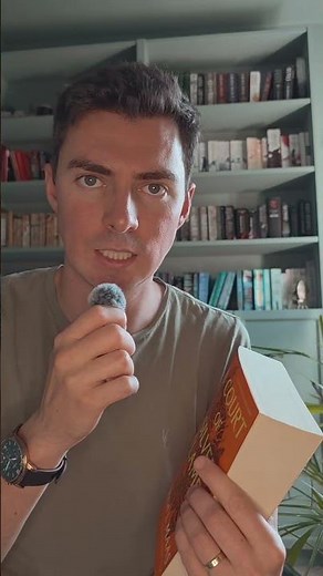 A Court of Silver Flames - middle third book review