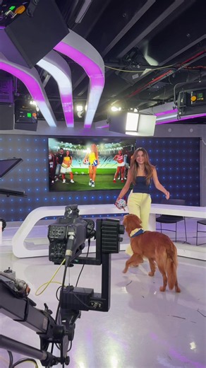 Recreating the @Shakira Dai Dai dance everywhere…even at work. Help me tag so she see’s this!! Today’s office: @includX #daidai #daidaidance #shakira @FIFA World Cup