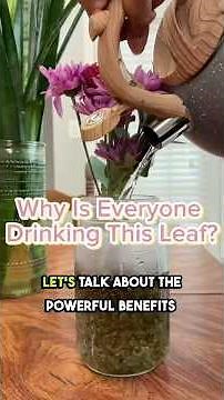 5 Powerful Benefits of Nettle Tea You Need to Know