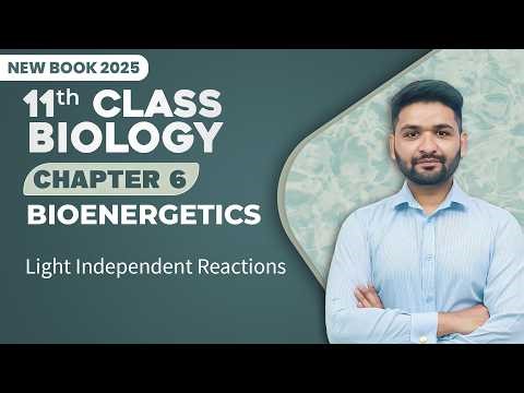 11th Class Biology Chapter 6 | Light Independent Reactions | Class 11th Biology New Book 2025