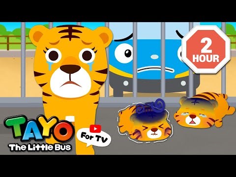 Save the Baby Tigers! Protect the Animals | Tayo Animal Rescue | Tayo the Little Bus