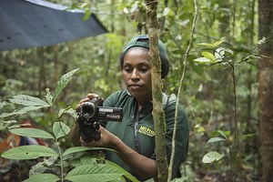 FAO webinar explores the links between accessible forest data and climate action