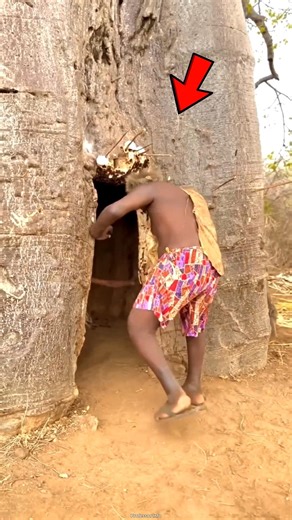 Why the Tribe Leader Started Dancing?