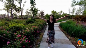 一首火爆全球的舞曲音乐《Faded》MV，音乐超好听，听了忘不了