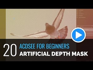 ACDSee For Beginners - 20 - Creating an Artificial Depth Mask