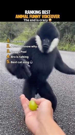 Ranking the Most Perfect Animal Voice Overs Ever #voicereveal #erniedingo (Spot-On Reactions!)