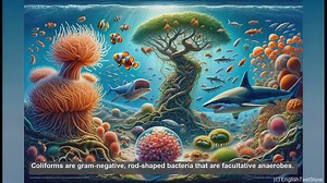 Coliform test in biology