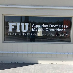 Florida International University Aquarius Reef Base in the Florida Keys is a great research facility. Home to many new scientists and biologists who will help preserve he ocean we have grown to know and love. #FloridaKeys #FIU #AquariusReefBase #BlueWild #overseashighway #research | The Blue Wild