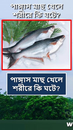 969K views · 6.3K reactions | পাঙ্গাস মাছ খেলে যা হয়  #reelsfb #foryoupage #tips #food #viralreels #reelsvideo #reelsviral #Reels #fyp #trendingreels | World Data Knowledge | Facebook