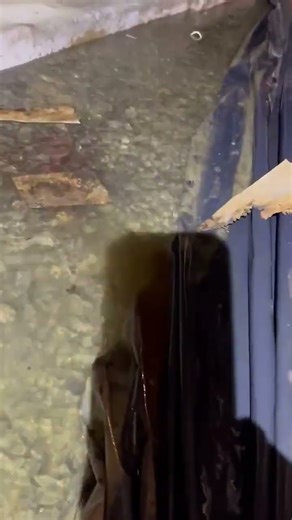 Jobs with Jose:💧Crawl Space System Installation Prep