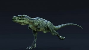 Velociraptor green run cycle. on a black background