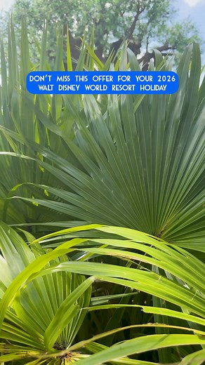 59K views · 359 reactions | LAST CHANCE! UK & Ireland Exclusive Offer for your Walt Disney World Resort 2026 holiday! T&Cs apply | Walt Disney World | Facebook