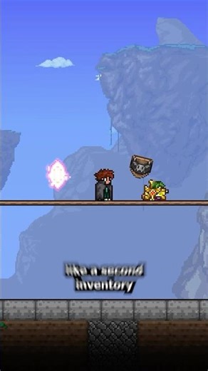 The Void Bag is CRAZY In Terraria!