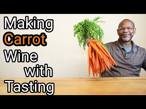 Making Carrot Wine Complete
