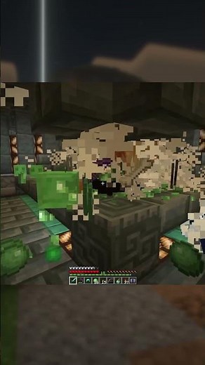 New Generation Slime Farm