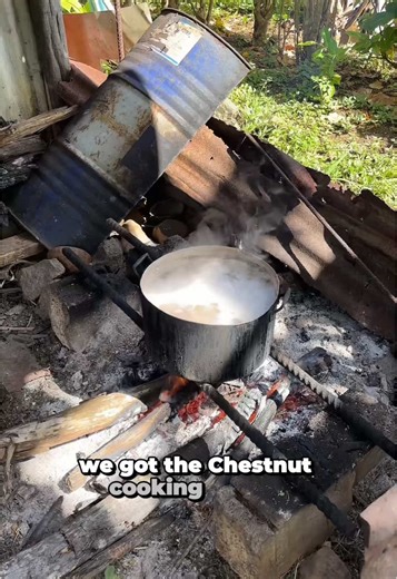 Cooking Chestnuts Outdoors in Mauke Cook Islands