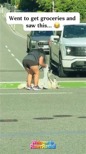 Dogs Refusing to Go Home: The Drama is Oscar-Worthy 😭🐾 #shorts