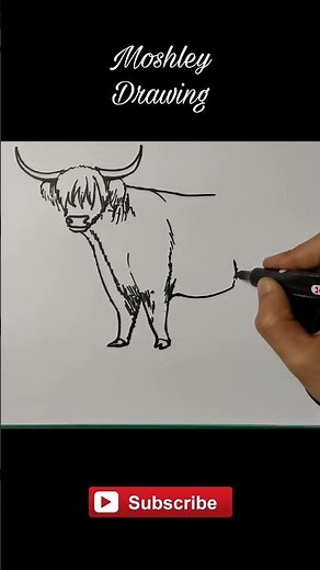 Drawing a Highland Cow #shorts