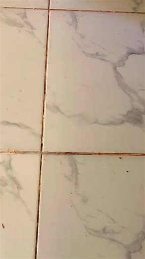 TILE-REVIVE SOLUTION on TikTok