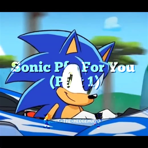 Sonic Pfp Part 1#sonicpfp#pfp#part1#sonic#shadow#rouge#tails#silver#fyp#foryou#part2??