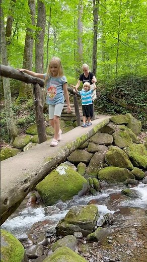 We took a trail in the Smoky Mountains ⛰️ #travel #smokymountains #greatsmokymountainsnationalpark