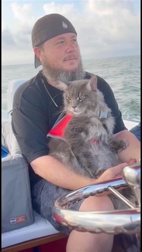 Happy Father’s Day to all the cat & human dad’s. Siren and I are so lucky to have you dad. We love that you’re always up for an adventure. #catdad #catdaddy #cat #kitten #maincoon #cute #love | Fisher The Maine Coon