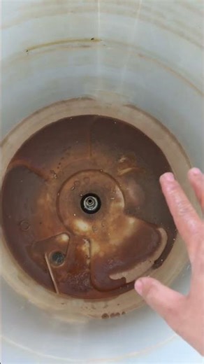 The condition of a washing machine drum that has never been cleaned.